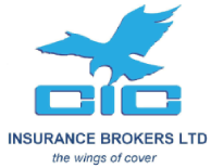 CIC Logo